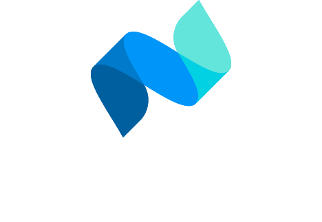 Netvisor